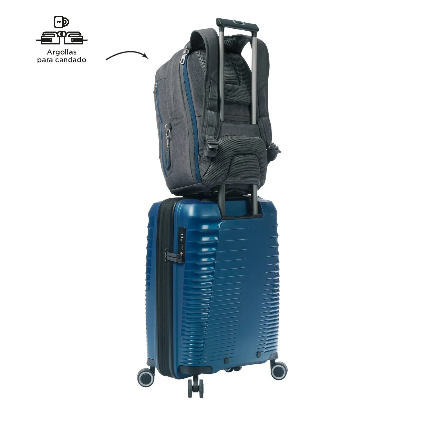 Mochila Colbert - Image 7
