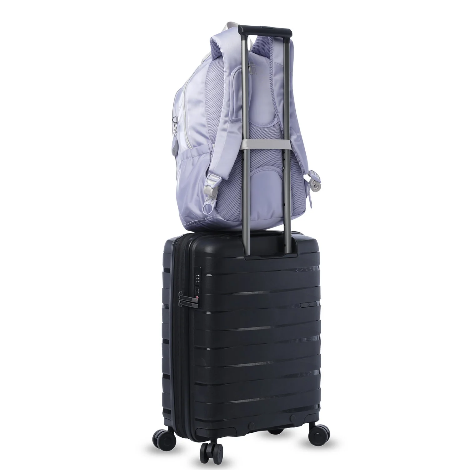 MORRAL GOCTAL - Image 100