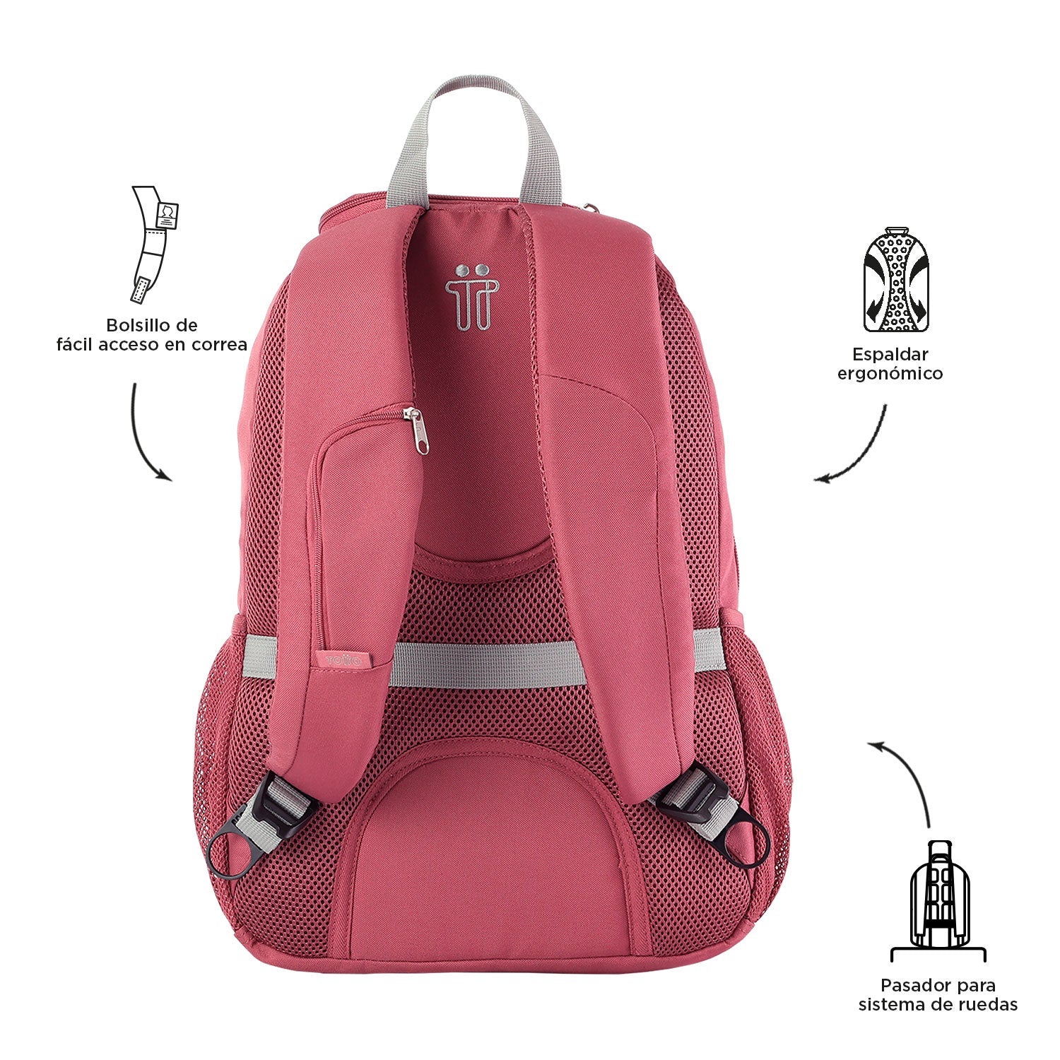 MORRAL GOCTAL - Image 34