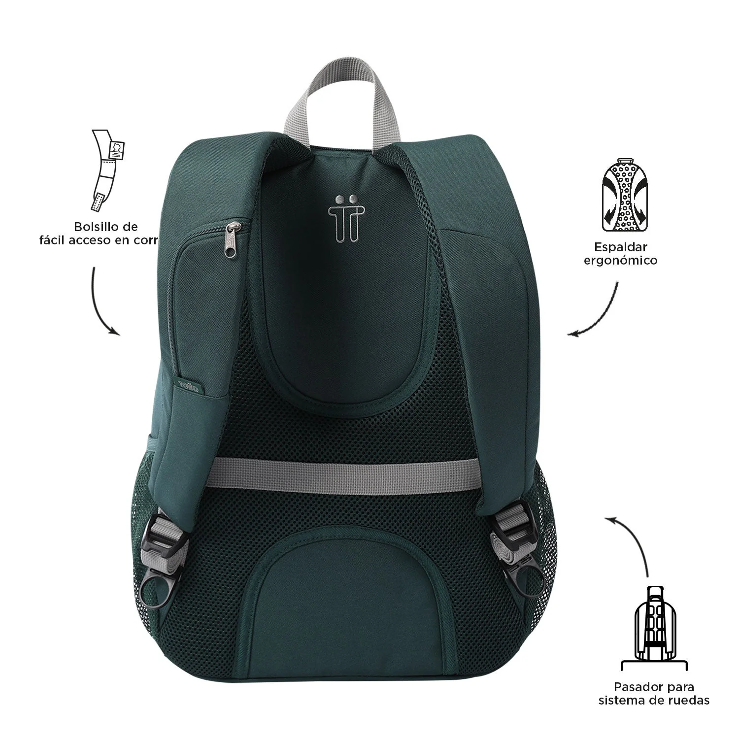 MORRAL GOCTAL - Image 41