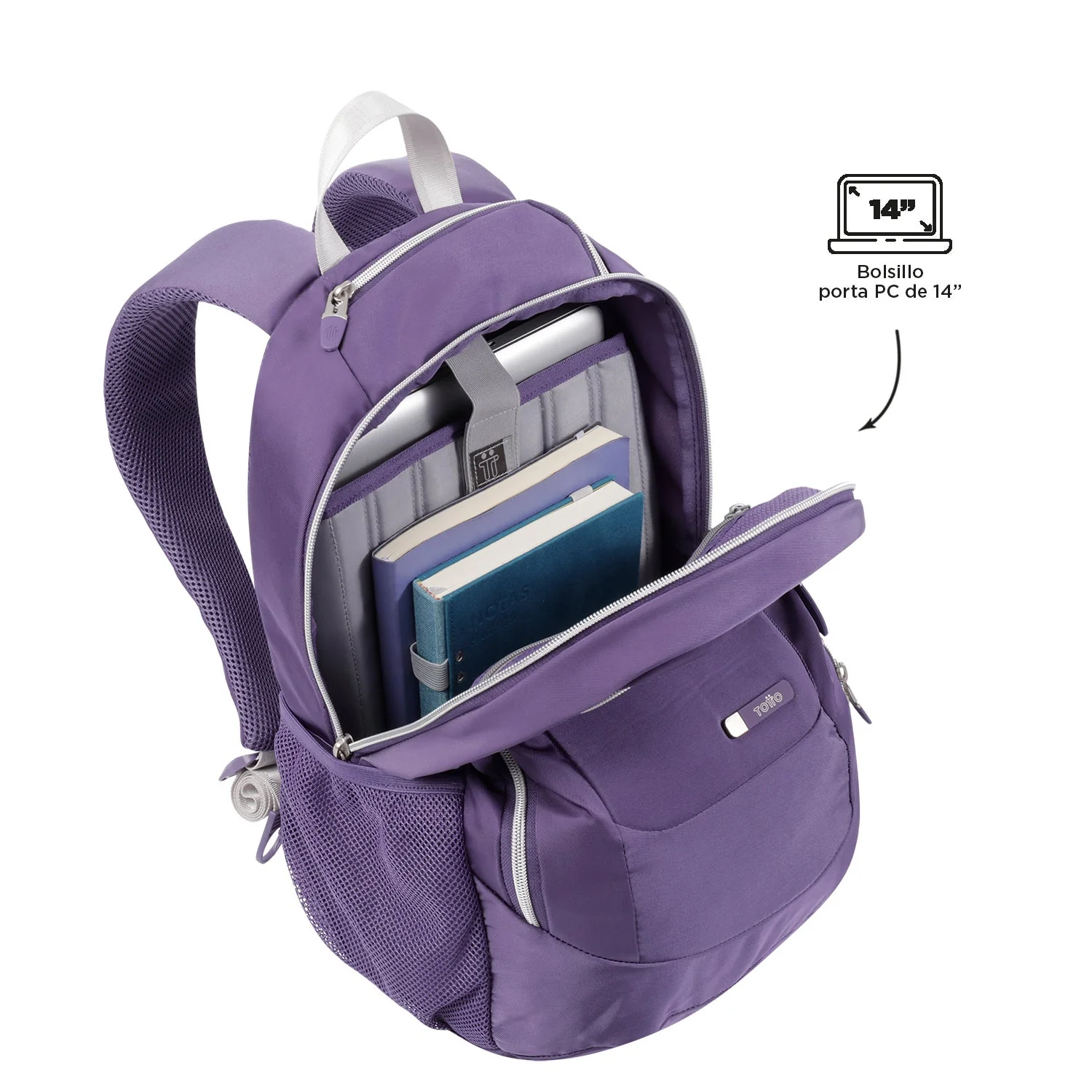 MORRAL GOCTAL - Image 43