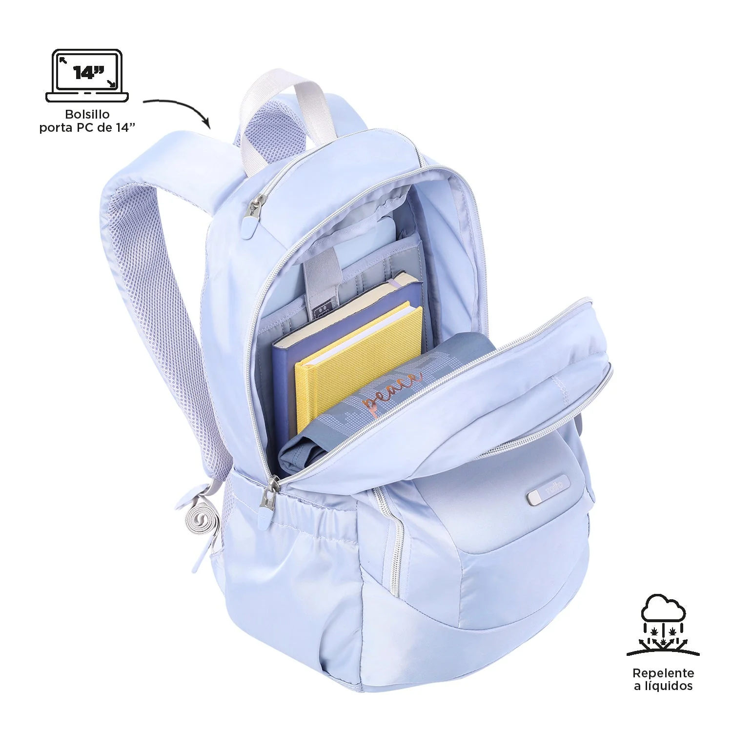 MORRAL GOCTAL - Image 49
