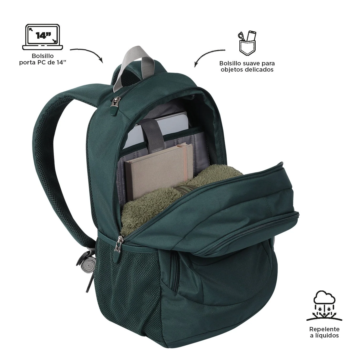 MORRAL GOCTAL - Image 51