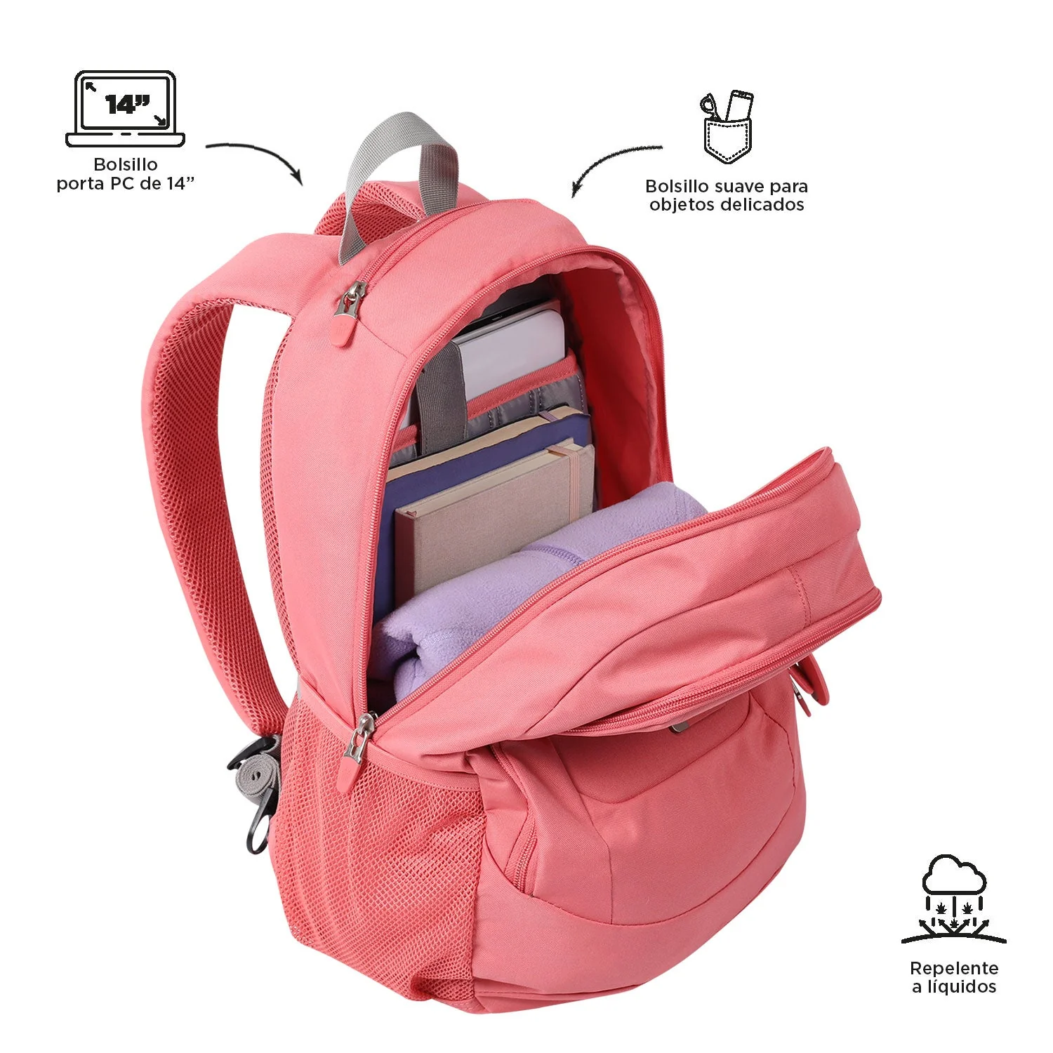 MORRAL GOCTAL - Image 53