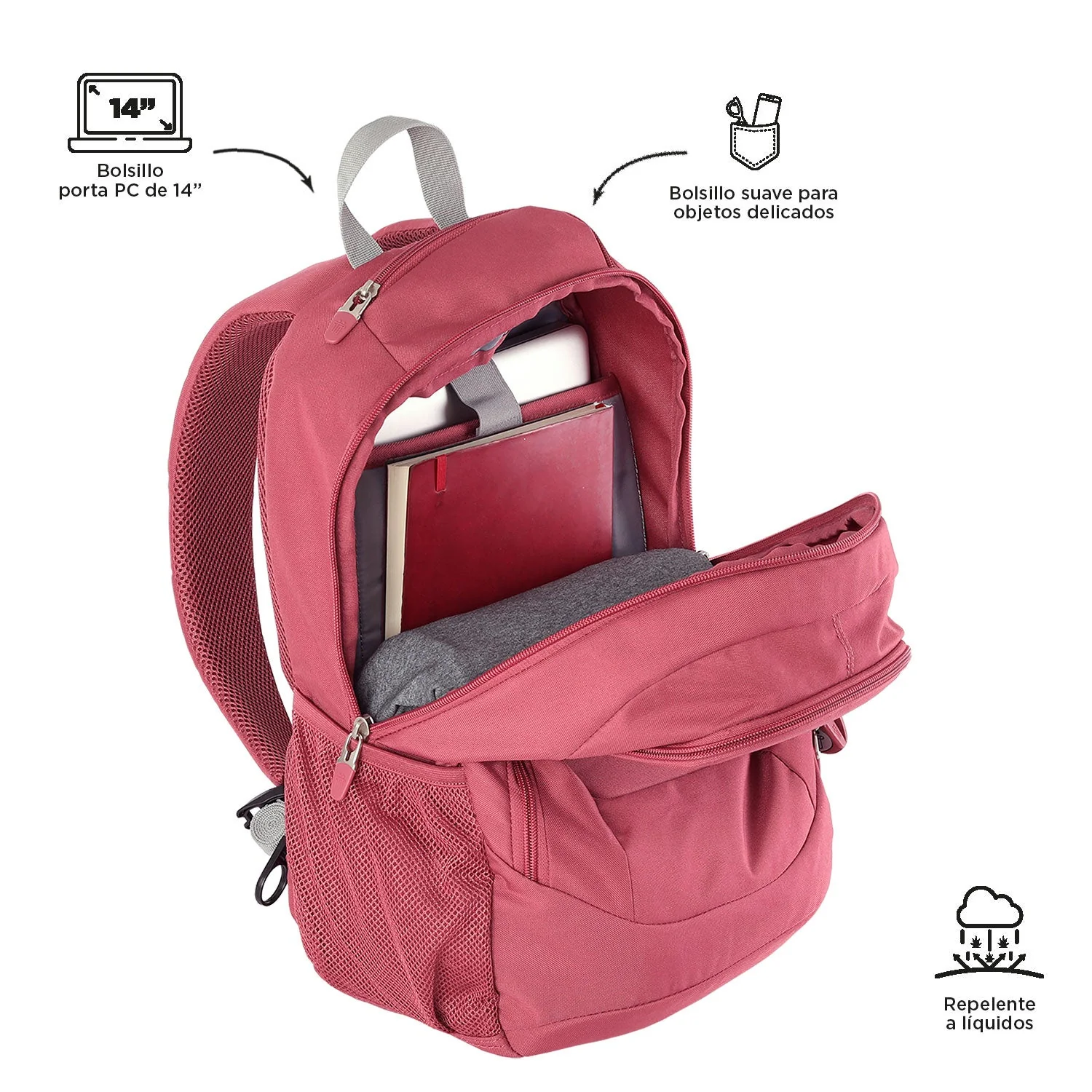 MORRAL GOCTAL - Image 55