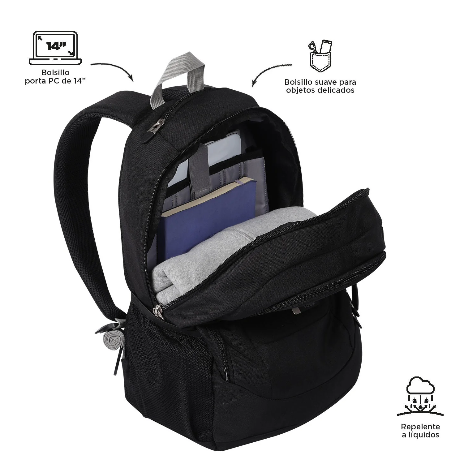 MORRAL GOCTAL - Image 56