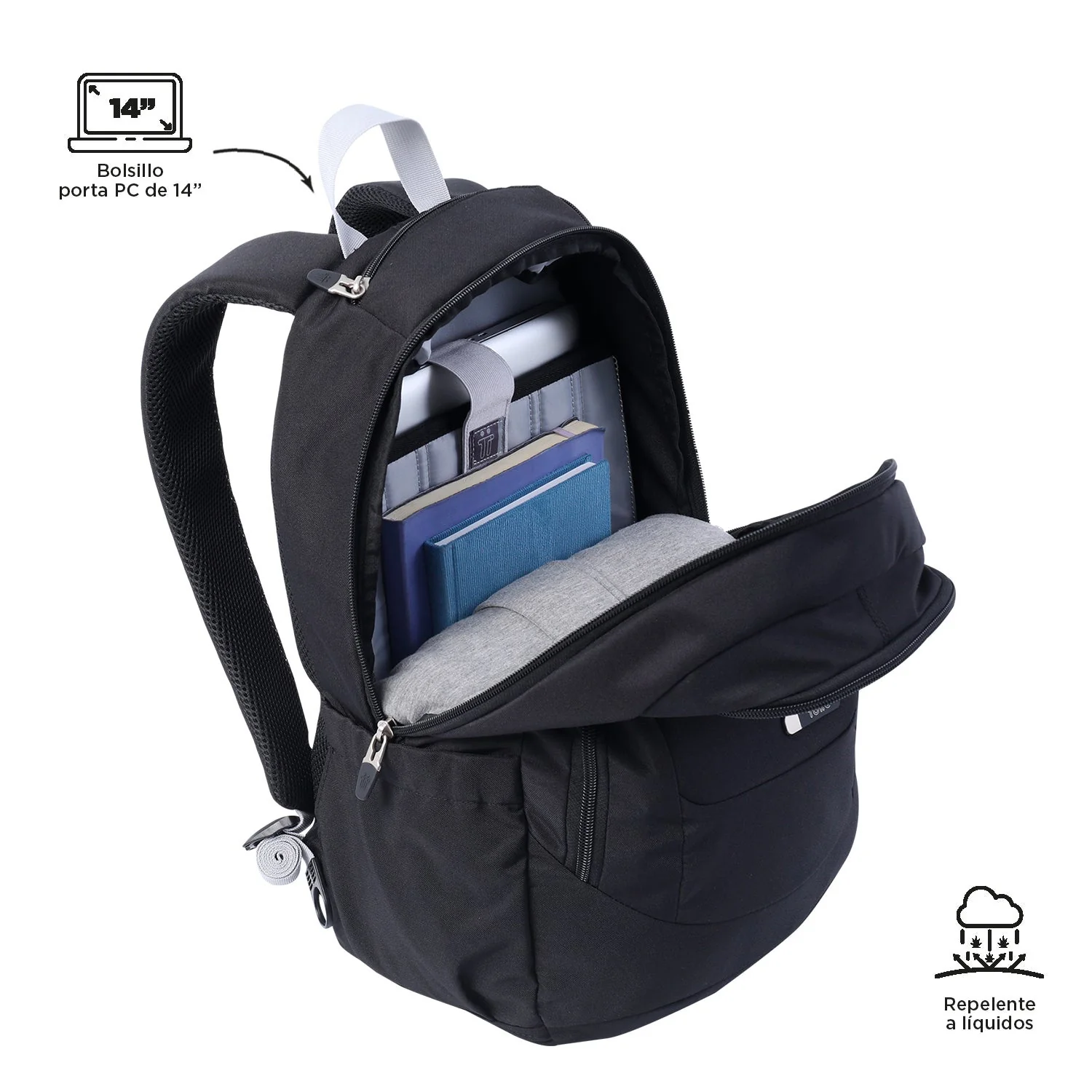 MORRAL GOCTAL - Image 57