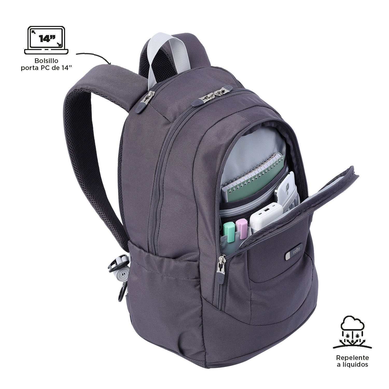 MORRAL GOCTAL - Image 60