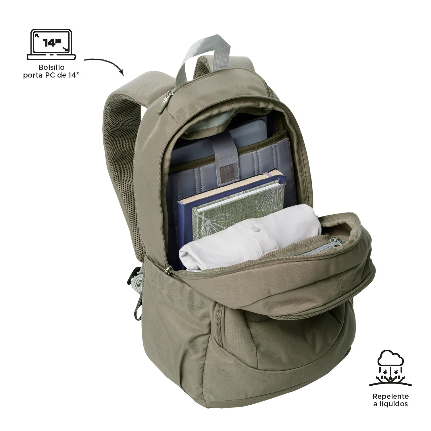 MORRAL GOCTAL - Image 64