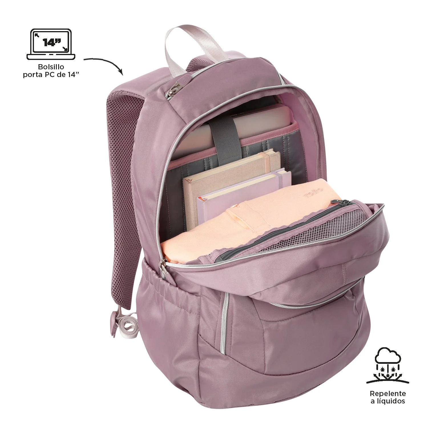 MORRAL GOCTAL - Image 67