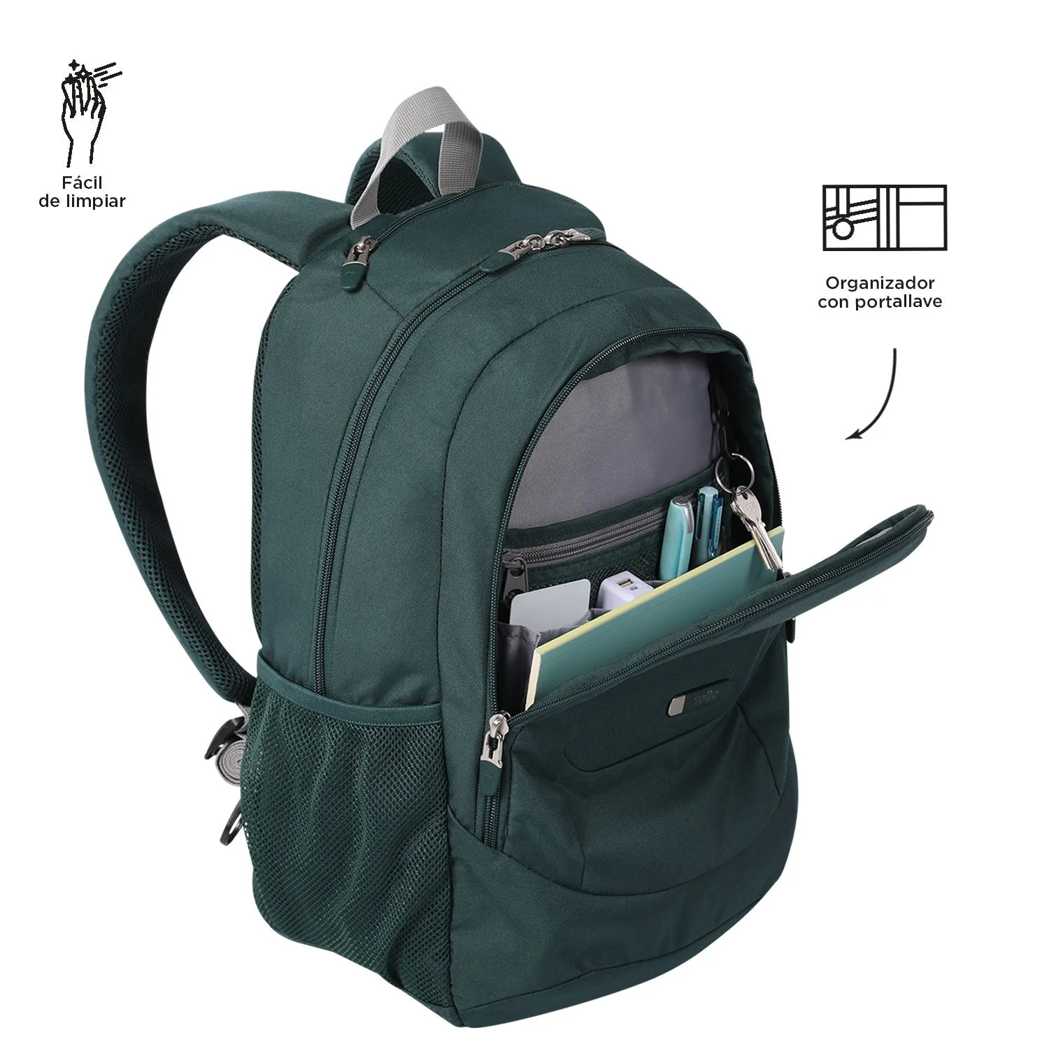 MORRAL GOCTAL - Image 74