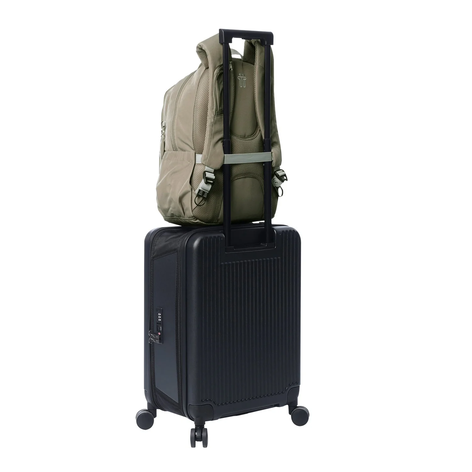 MORRAL GOCTAL - Image 81